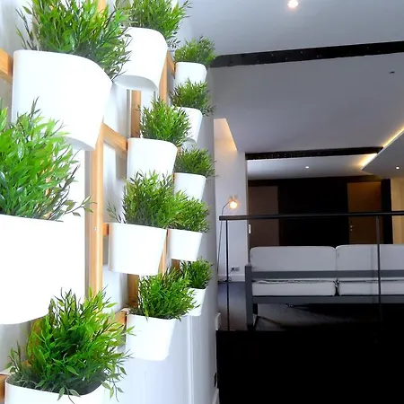 Loft Luxe Hyper Centre: Terrasse/piscine/ Salle De Sport 2*